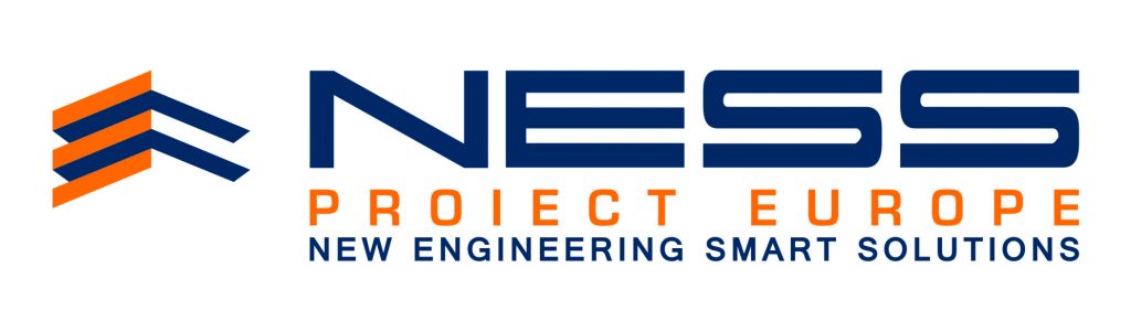 eDevize - Ness Proiect Europe